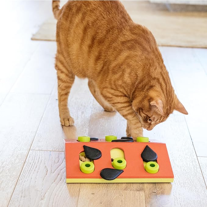 Catstages Nina Ottosson Melon Madness Puzzle & Play Cat Toy, 10.6" | Level 2 Intermediate, 12 Hidden Treat Cups, Problem Solving, Interactive Enrichment, Slow Feeder, Indoor Cats & Kittens