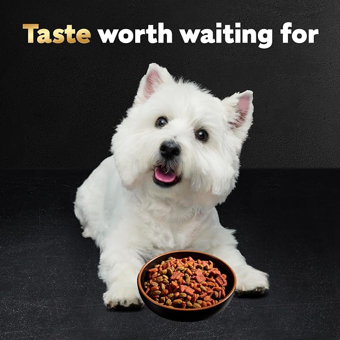 Cesar Small Breed Dry Dog Food, Chicken & Spring Vegetables Flavor, 12 lb | Made in USA, Real chicken #1 ingredient, 26 essential nutrients, supports small breed health, no artificial flavors