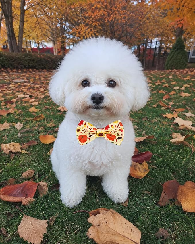 PET SHOW 5 Pack Dog Bowties Fall for Small Dogs Slide on Collar