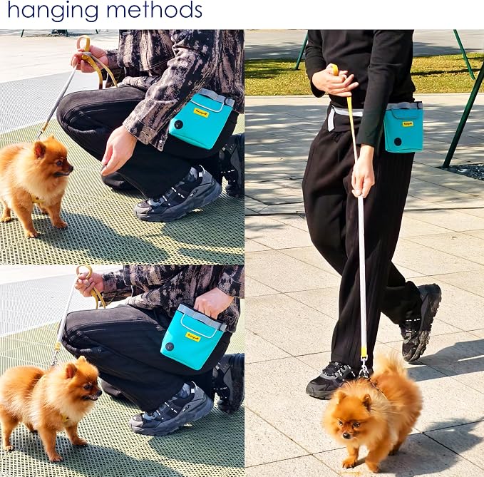 Raisingwell Dog Treat Pouch for Pet Walking and Training with Clicker 2 Cup Silicone Bag Small Fanny Pack Holder for Puppy Snack Dispenser Kit for Leash and Outdoor Use (Green)