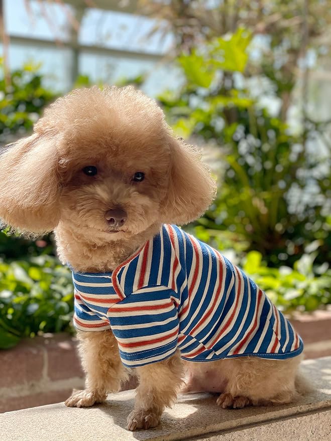 Dog Shirts Cotton Striped T-Shirt, Summer Pet Clothes for Small Dogs, 2-Pack Soft Puppy Apparel Cat Tee, Breathable Stretchy, Blue Yellow S