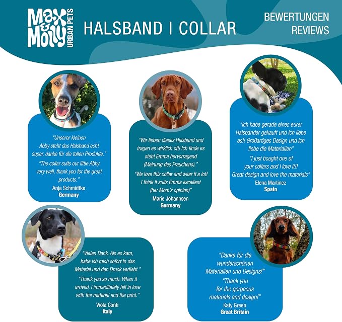 Max & Molly Ultra Comfortable Padded Neoprene Sport Dog Collar with Smart ID Tag, Summertime L