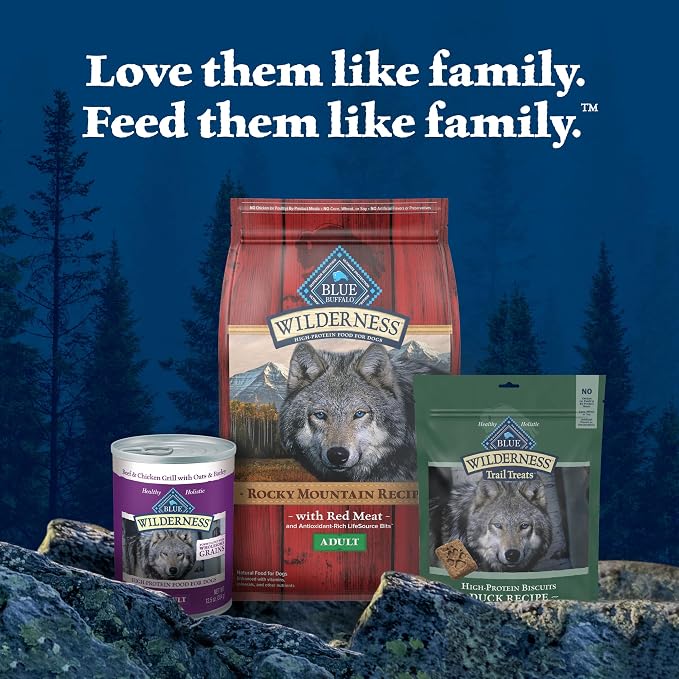 Blue Buffalo Wilderness Trail Treats Duck Crunchy Dog Biscuits, 24 oz | Real Duck #1 Ingredient, High Protein & Grain-Free Dog Snacks, Great for Training, No Artificial Preservatives