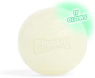 Chuckit! Max Glowin the Dark Bouncy Ball for Dogs, Large 3in, 1 Pack