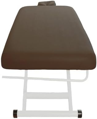 SKINACT Stella Electric Medical Spa Treatment Table (Facial Chair/Bed) ADA Compliant (Brown)