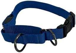 Light-Up Martingale Training Adjustable Dog Puppy Collar - REMIPET - Waterproof, LED Illuminated, USB Rechargeable, Reflective Safety, Durable, Nylon, Gift (Blue, Xtra-Large)