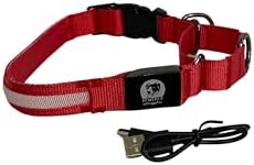 Light-Up Martingale Training Adjustable Dog Puppy Collar - REMIPET - Waterproof, LED Illuminated, USB Rechargeable, Reflective Safety, Durable, Nylon, Gift (Red, Large)