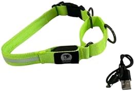 Light-Up Martingale Training Adjustable Dog Puppy Collar - REMIPET - Waterproof, LED Illuminated, USB Rechargeable, Reflective Safety, Durable, Nylon, Gift (Green, Large)
