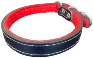 Genuine Leather Puppy Collar | 22 in Length | Designed for Pups, Hunting Dogs, Wolfdogs, Kangals | Secure Fit | Durable Leather | Black Color | One Size