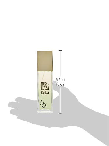 Alyssa Ashley Musk - Perfume for Men and Women with Citrus and Sicilian Bergamot - Long Lasting - Womens Fragrances - 3.4 oz EDT Spray