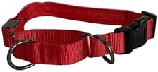Light-Up Martingale Training Adjustable Dog Puppy Collar - REMIPET - Waterproof, LED Illuminated, USB Rechargeable, Reflective Safety, Durable, Nylon, Gift (Red, Large)