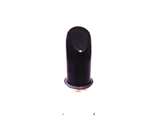 Crazy Colors Lipstick (Black berry)