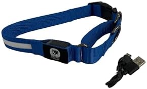 Light-Up Martingale Training Adjustable Dog Puppy Collar - REMIPET - Waterproof, LED Illuminated, USB Rechargeable, Reflective Safety, Durable, Nylon, Gift (Blue, Xtra-Large)