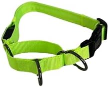 Light-Up Martingale Training Adjustable Dog Puppy Collar - REMIPET - Waterproof, LED Illuminated, USB Rechargeable, Reflective Safety, Durable, Nylon, Gift (Green, Medium)
