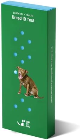DNA MY DOG - Essential + Health Dog DNA Test Kit | 350+ Breeds Identified | 99%+ Accuracy | 105+ Health & Trait Results | Allergy Risk Score | Personality & Behavior Insights | Results in 2-3 Weeks