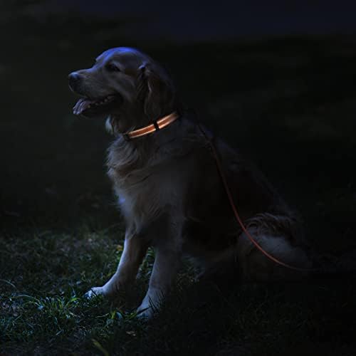 Reflective Dog Collar, Quick-Release Buckle (Purple, 14-18 Inch)