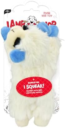 Multipet Lamb Chop Dog Plush Toy - Squeaky Toy for All Dogs - Durable Oxford Lining - Stuffed Animal for Cuddling & Playing (10.5", Blue Paws)