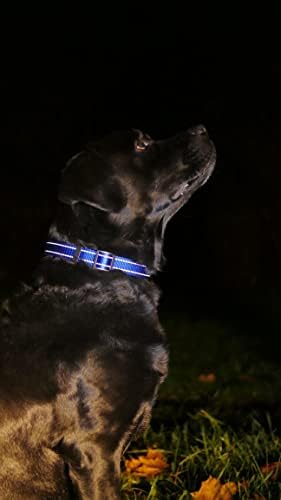 Reflective Dog Collar, Quick-Release Buckle (Light Blue, 14-18 Inch)