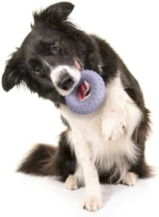 Playology Dual Layer Ring Dog Toy for Aggressive Chewers, Lamb Scent