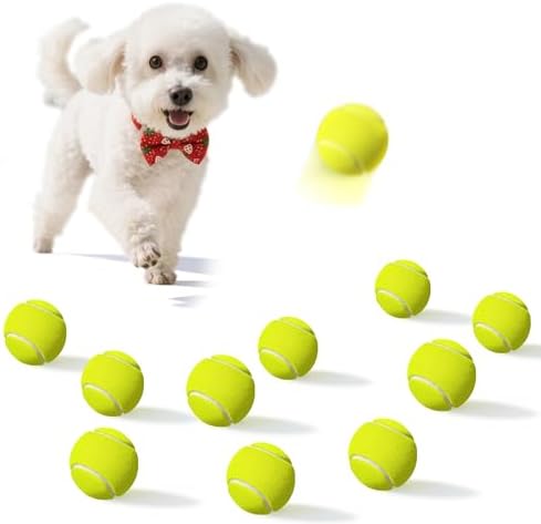2-inches Interactive Dog Tennis Balls for Exercise and Training
