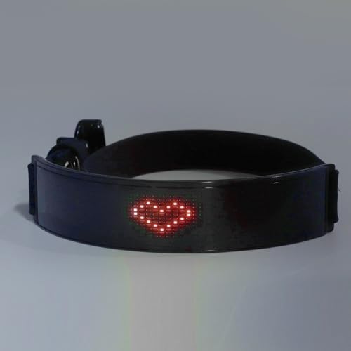 LED Dog Collar, Light Up Dog Collar with Smart DIY Screen, Rechargeable Glowing Collar, in The Dark Pet Necklace for Night Walking, High Visibility & Fashionable (Red Light)