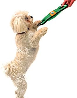 NFL Football Field DOG TOY with Squeaker. - MIAMI DOLPHINS - For Tug, Toss, and Fetch. - Tough & Durable PET TOY