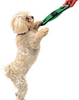 Pets First NFL Football Field Dog Toy with Squeaker. - Carolina Panthers - for Tug, Toss, and Fetch. - Tough & Durable PET Toy