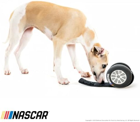 NASCAR, Hide & Seek Nesting Toys for Dogs, Toolbox Treater Bundle, 4-Pack