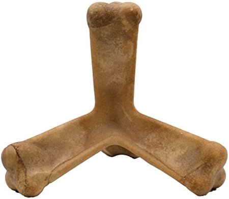 N-Bone Nbone 115097 Quado in Pumpkin, Large (575174)