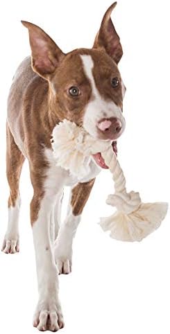 Mammoth Pet Products Dog,Flossy Chews 100-Percent Cotton White Rope Bone, Large, 14-Inch (10006V)