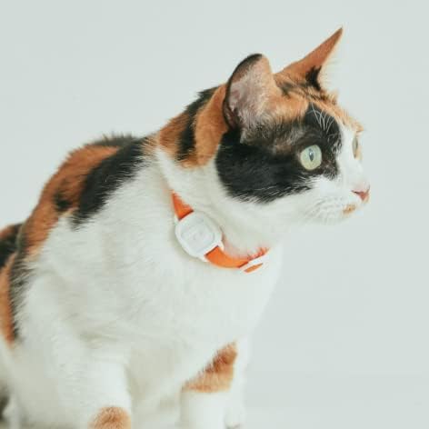 LavvieTAG Charger Smartwatch for cat Fitness Tracker Charge Long Lasts one Month Easy conveniente Maintain Multi-cat households