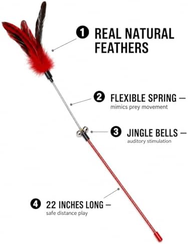 Cat Feather Wand Toy Set – 5 Different Feather Styles in One Pack – Interactive Wand Toys for Indoor Cats and Kittens – Durable Spring Design for Engaging Playtime