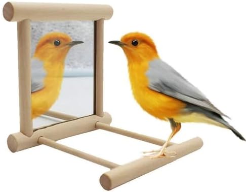 Litewoo Bird Mirror with Perch Parrot Swing Interactive Play Toys, 2 PC