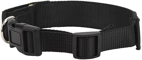 Programmable LED Dog Collar with App Control, Rechargeable High Visibility Yellow Pet Safety Collar for Night Walks, Compatible with SPOTLED App