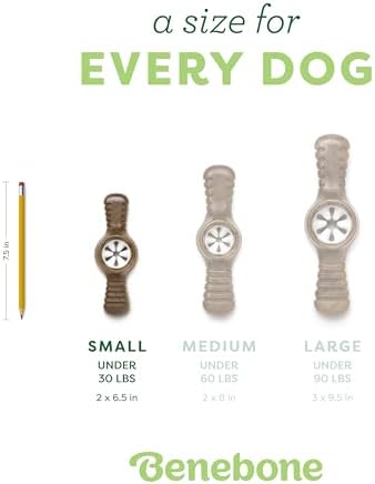 Benebone Pawplexer Interactive Treat Dispensing Tough Dog Puzzle Chew Toy, Made in USA, Small, Real Bacon Flavor