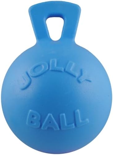 Jolly Pets Tug-n-Toss Heavy Duty Dog Toy Ball with Handle, 10 Inches/X-Large, Blueberry for All Breed Sizes