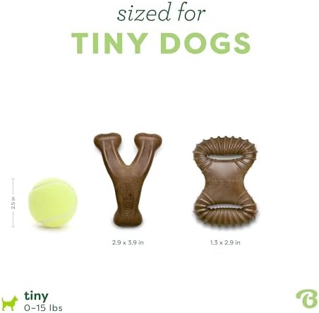 Benebone Tiny 2-Pack Dog Chew Toys, Made in USA, Real Bacon Flavor