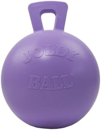 Jolly Pets Tug-n-Toss Heavy Duty Dog Toy Ball with Handle, 10 Inches/X-Large, Light Purple