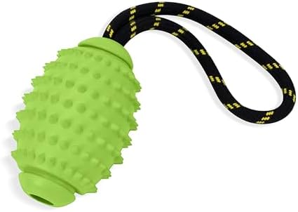 OllyDog Spikey Rugby, Interactive Dog Chew Toy with Natural Rubber, Multifunctional Teeth Cleaning and Gum Massage, for Dogs Under 50lbs (Lime)