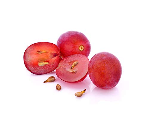 US Organic Grape Seed Oil, USDA Certified Organic, 100% Pure & Natural, Cold Pressed Virgin, Unrefined, Size for DIY and small manufacturers (128 oz (1 Gallon))