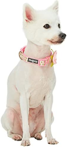 Blueberry Pet Adjustable Flocking Dog Collar with Silk Flower, Polka Dot in Baby Pink, Large - Dog Collars for Small Dogs, Girl Dog Collars, Pink Dog Collar, Neck 18-26"