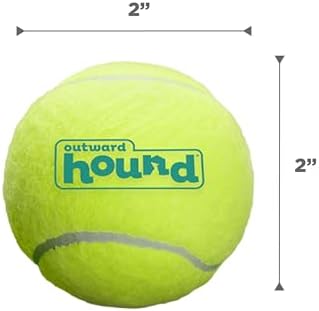 Outward Hound Squeaker Ballz Tennis Ball Dog Toy, Small, 2", 4‑Pack | Squeaks & Bounces, Bright Colors, Interactive Fetch & Training, Indoor Outdoor, Moderate Chewers, Small Dogs (Under 25 lbs)