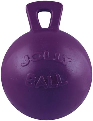 Jolly Pets Tug-n-Toss Heavy Duty Dog Toy Ball with Handle, 4.5 Inches/Small, Purple