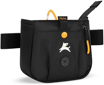 OllyDog Backcountry Day Bag | Hands-Free Dog Training Treat Pouch | Fanny/Hip Pack with Zipper Closure & Built-in Poop Bag Dispenser | Removable Waist Clip (Raven S'25)