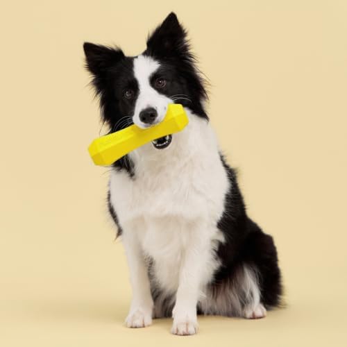 Playology Squeaky Chew Stick - Scented Dog Toy - Jumbo, Chicken Scent
