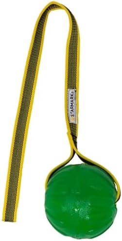 Starmark GripCord Chew Ball on Cord Md/Lg Dogs 3.25-in