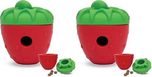 Brightkins Tough & Tumble 2-Piece Strawberry, Enrichment Puppy Essentials, Dog Birthday Treat Pouch Gifts, Training Dog Accessories, Container Slow Feeder Dispensing, Puzzle Feeder (Pack of 2)