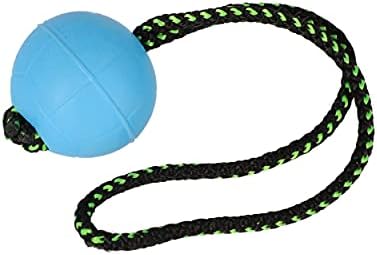 Dingo Dog Ball with Short Handle, Natural Rubber (Blue)