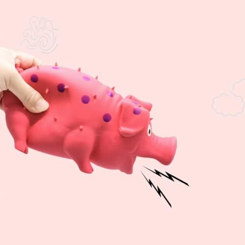 Squeaky Pig Dog Toys, 2 Pack Grunting Pig Dog Toy that Oinks Grunts for Small Medium Large Dogs, Grunting Pig Sound Play Dog Toy