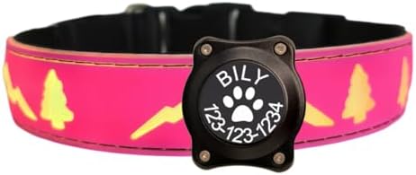 Customlized Name Flashing USB-C led Light up Dog Collar with airtag Holder, Subversive 3D Design Comfortable and Soft Material,Multicolored Lighting (Pink, XL(19.7-23.6"))